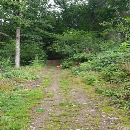 Nature Escape In Martelange, Cleaning Included * Radelange