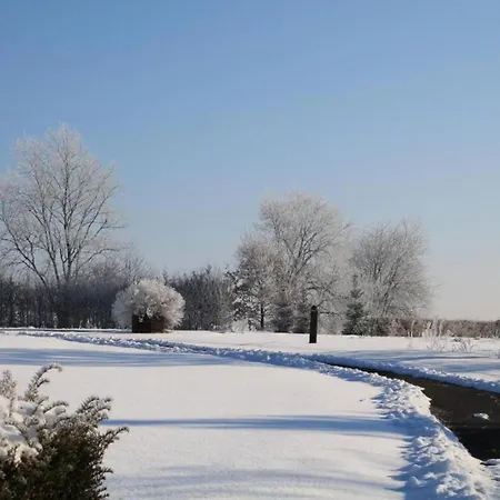 Nature Escape In Martelange, Cleaning Included Holiday home