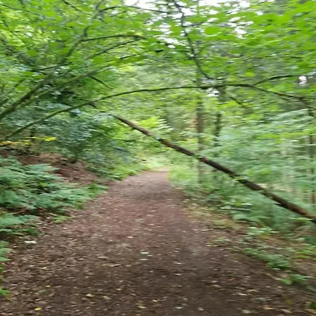 Nature Escape In Martelange, Cleaning Included Radelange
