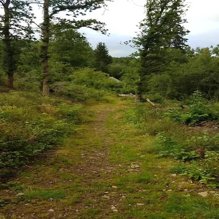 Holiday home Nature Escape In Martelange, Cleaning Included Radelange